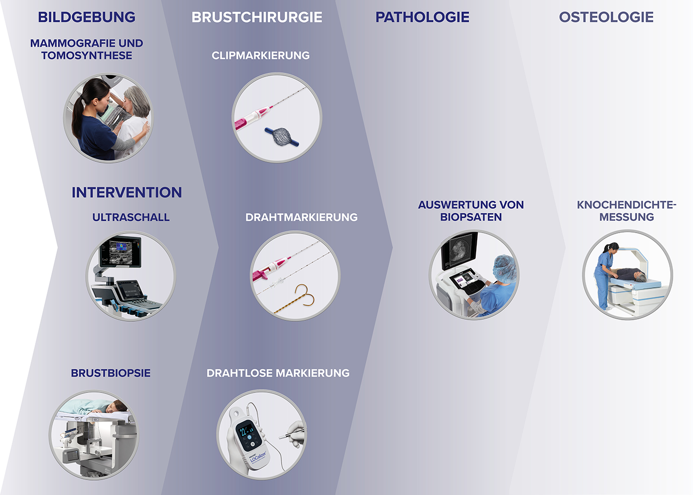 SOMATEX a Hologic company